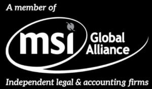 MSI Global Logo